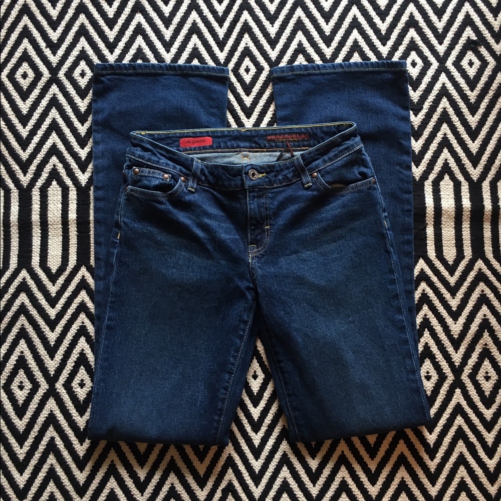 AG Adriano Goldschmied the Gemini jeans